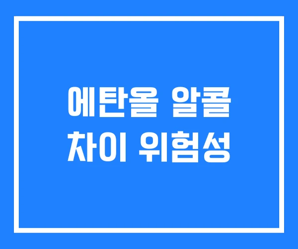 에탄올 알콜 차이 위험성