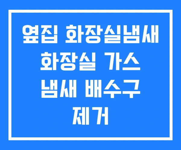 옆집 화장실냄새 화장실 가스 냄새 배수구 제거