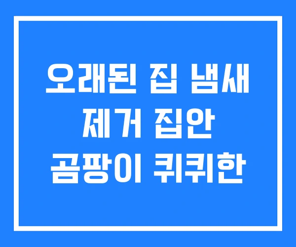 오래된 집 냄새 제거 집안 곰팡이 퀴퀴한