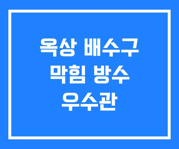 옥상 배수구 막힘 방수 우수관 옥상 배수구 막힘 방수 우수관