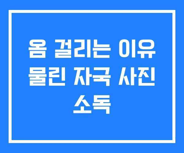 옴 걸리는 이유 물린 자국 사진 소독