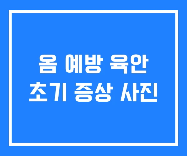 옴 예방 육안 초기 증상 사진