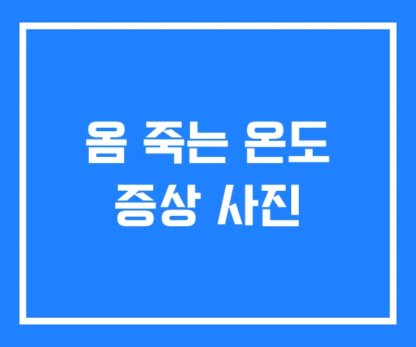옴 죽는 온도 증상 사진