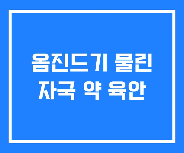 옴진드기 물린 자국 약 육안