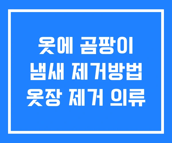 옷에 곰팡이 냄새 제거방법 옷장 제거 의류