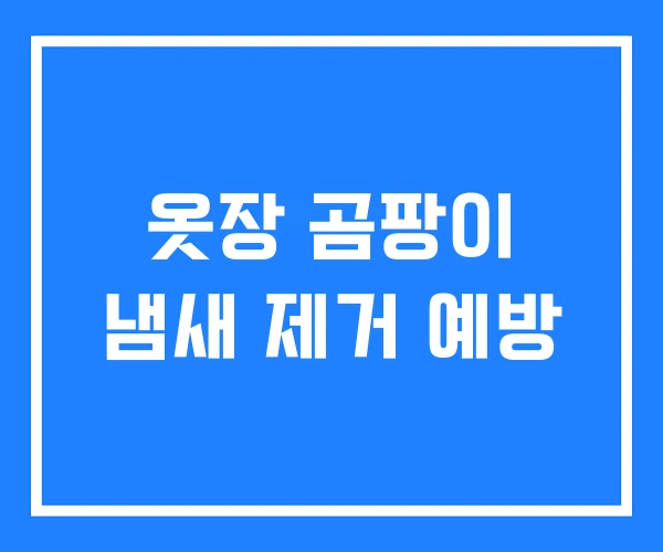 옷장 곰팡이 냄새 제거 예방 옷장 곰팡이 냄새 제거 예방