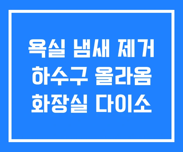 욕실 냄새 제거 하수구 올라옴 화장실 다이소