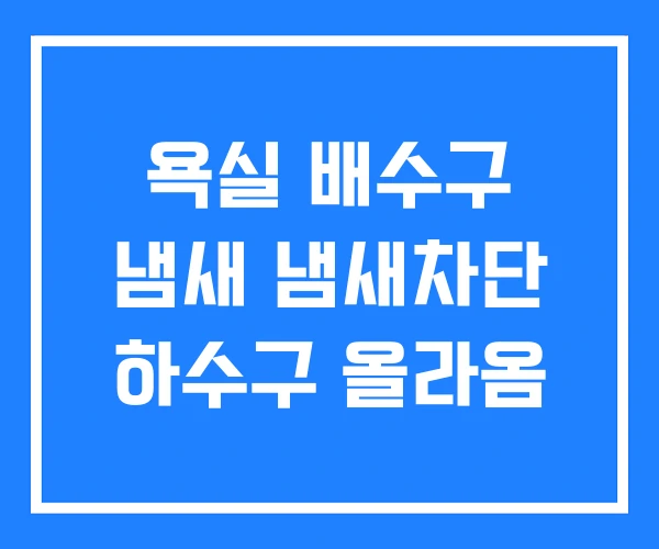 욕실 배수구 냄새 냄새차단 하수구 올라옴