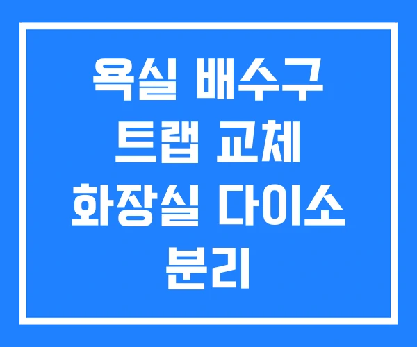 욕실 배수구 트랩 교체 화장실 다이소 분리 욕실 배수구 트랩 교체 화장실 다이소 분리
