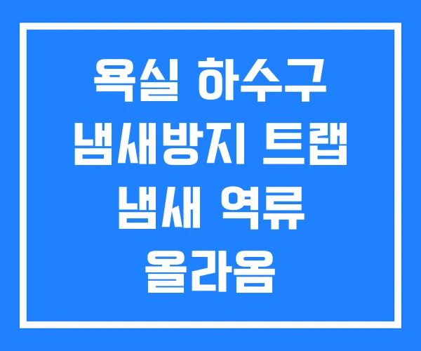 욕실 하수구 냄새방지 트랩 냄새 역류 올라옴