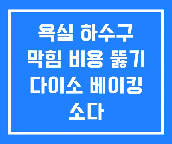 욕실 하수구 막힘 비용 뚫기 다이소 베이킹 소다