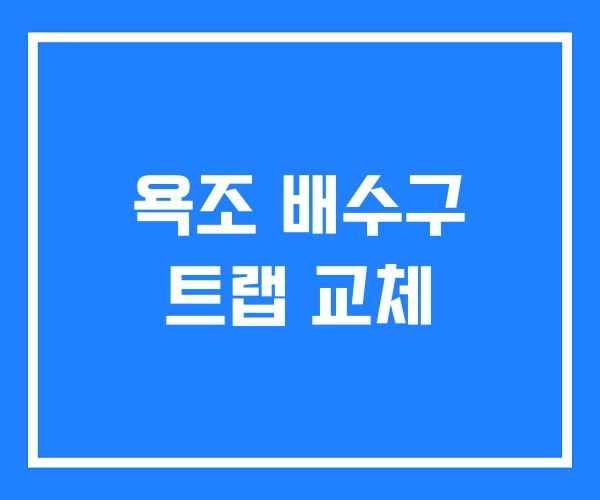 욕조 배수구 트랩 교체