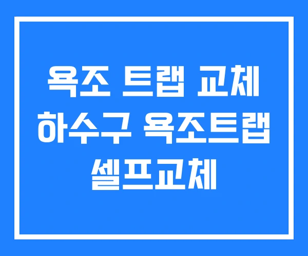 욕조 트랩 교체 하수구 욕조트랩 셀프교체