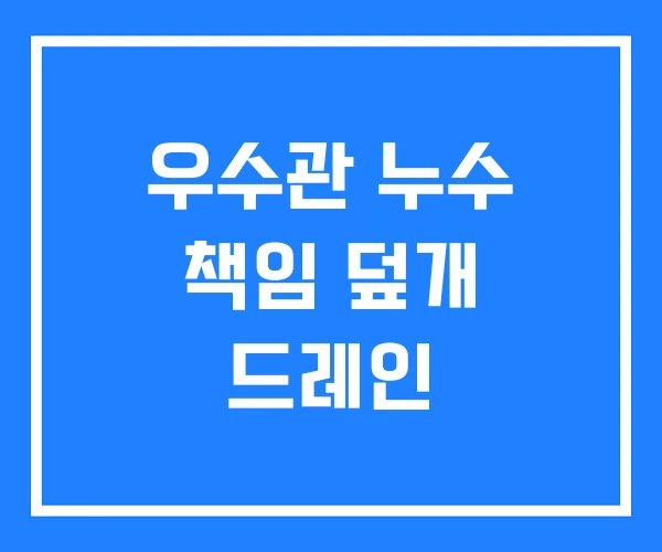 우수관 누수 책임 덮개 드레인