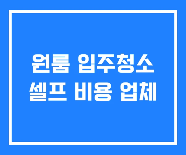 원룸 입주청소 셀프 비용 업체 원룸 입주청소 셀프 비용 업체