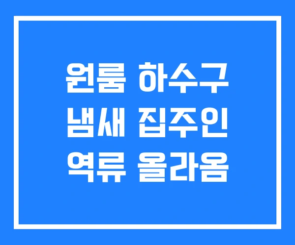 원룸 하수구 냄새 집주인 역류 올라옴 원룸 하수구 냄새 집주인 역류 올라옴