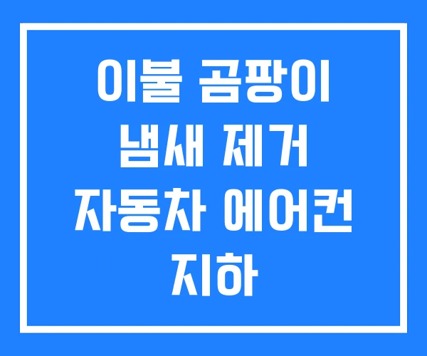 이불 곰팡이 냄새 제거 자동차 에어컨 지하