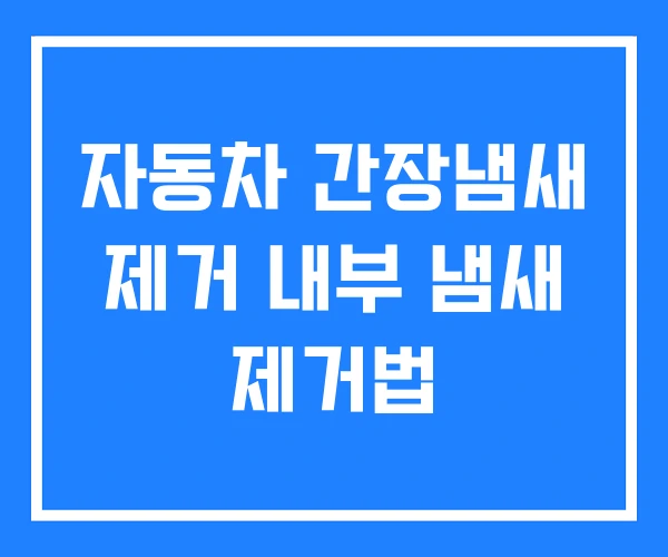 자동차 간장냄새 제거 내부 냄새 제거법