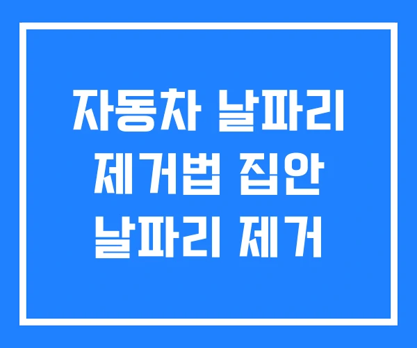 자동차 날파리 제거법 집안 날파리 제거 자동차 날파리 제거법 집안 날파리 제거