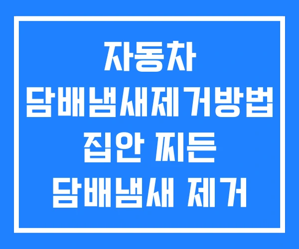 자동차 담배냄새제거방법 집안 찌든 담배냄새 제거 차 제거법