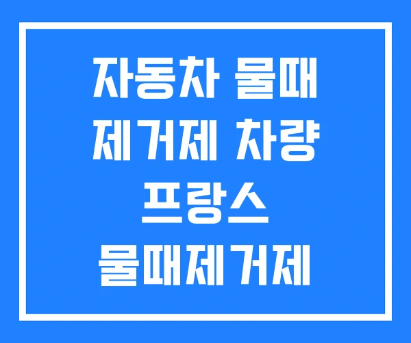 자동차 물때 제거제 차량 프랑스 물때제거제