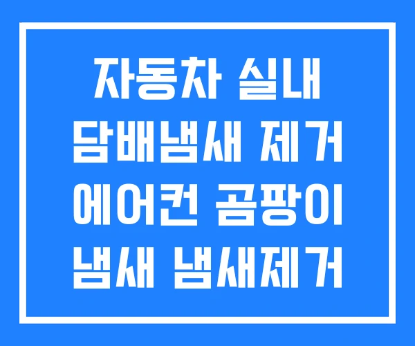 자동차 실내 담배냄새 제거 에어컨 곰팡이 냄새 냄새제거