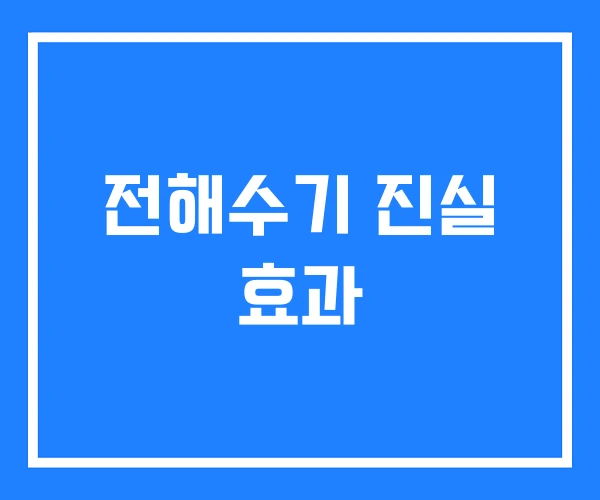 전해수기 진실 효과 전해수기 진실 효과