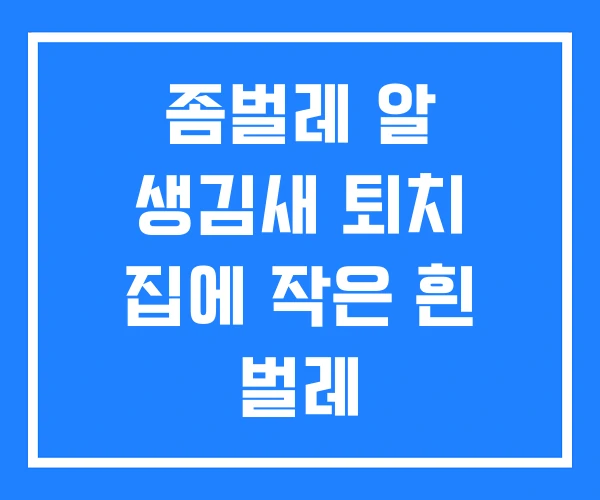 좀벌레 알 생김새 퇴치 집에 작은 흰 벌레 좀벌레 알 생김새 퇴치 집에 작은 흰 벌레