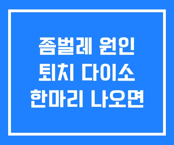 좀벌레 원인 퇴치 다이소 한마리 나오면 좀벌레 원인 퇴치 다이소 한마리 나오면