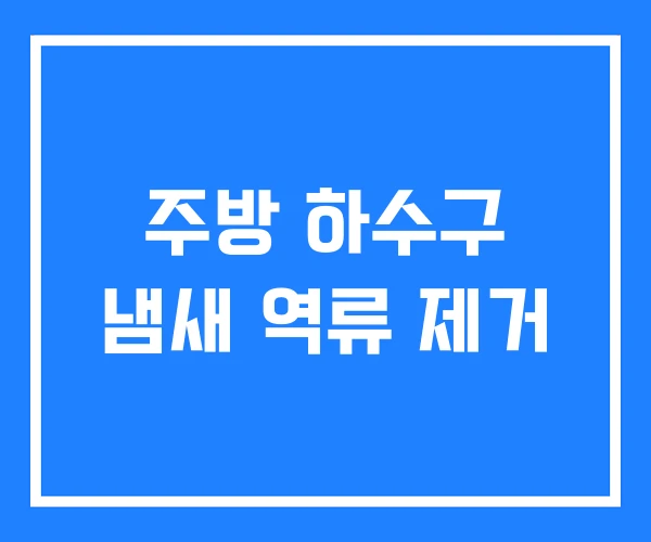 주방 하수구 냄새 역류 제거