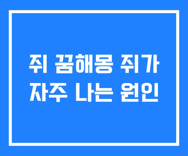 쥐 꿈해몽 쥐가 자주 나는 원인