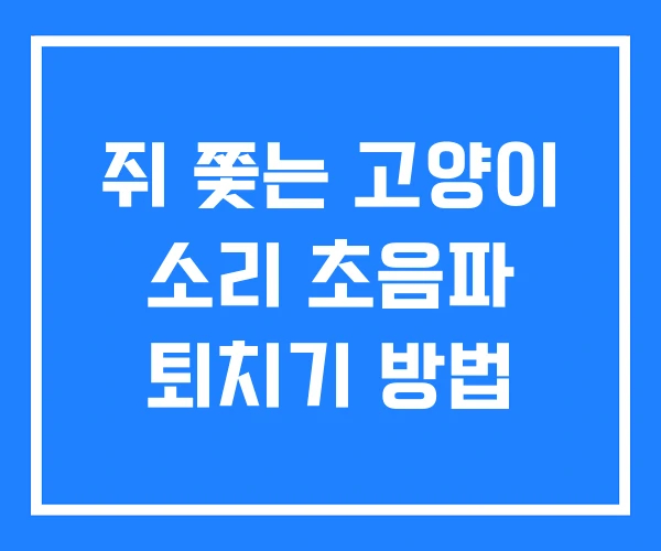 쥐 쫓는 고양이 소리 초음파 퇴치기 방법 쥐 쫓는 고양이 소리 초음파 퇴치기 방법