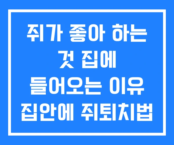 쥐가 좋아 하는 것 집에 들어오는 이유 집안에 쥐퇴치법 쥐가 좋아 하는 것 집에 들어오는 이유 집안에 쥐퇴치법
