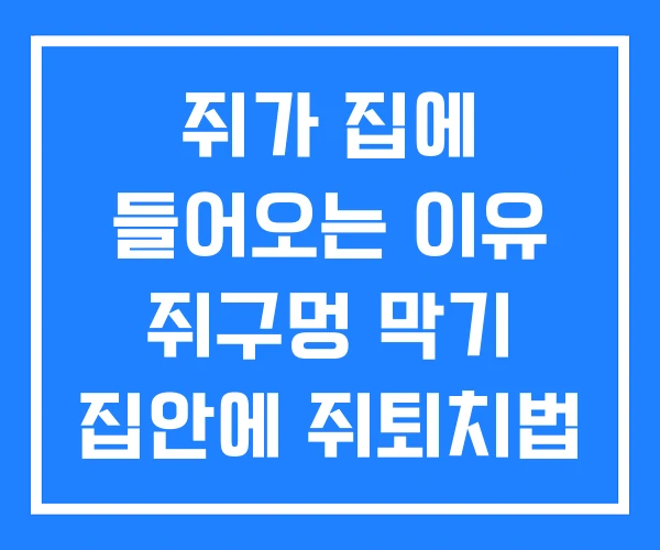 쥐가 집에 들어오는 이유 쥐구멍 막기 집안에 쥐퇴치법 쥐가 집에 들어오는 이유 쥐구멍 막기 집안에 쥐퇴치법