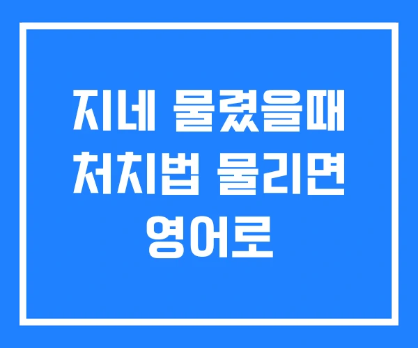 지네 물렸을때 처치법 물리면 영어로 지네 물렸을때 처치법 물리면 영어로