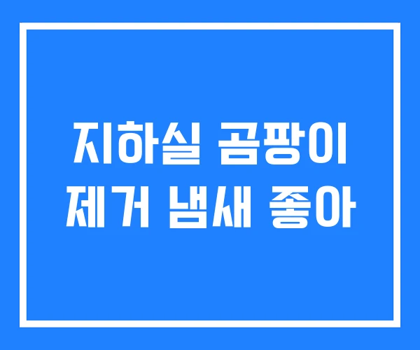 지하실 곰팡이 제거 냄새 좋아 지하실 곰팡이 제거 냄새 좋아
