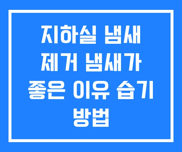 지하실 냄새 제거 냄새가 좋은 이유 습기 방법
