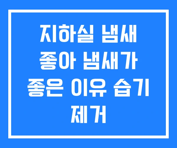 지하실 냄새 좋아 냄새가 좋은 이유 습기 제거 지하실 냄새 좋아 냄새가 좋은 이유 습기 제거