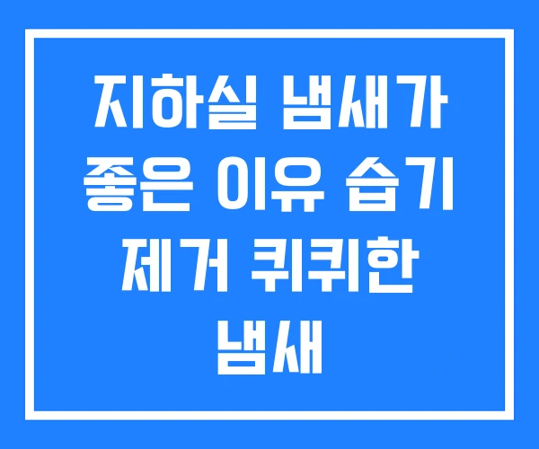 지하실 냄새가 좋은 이유 습기 제거 퀴퀴한 냄새