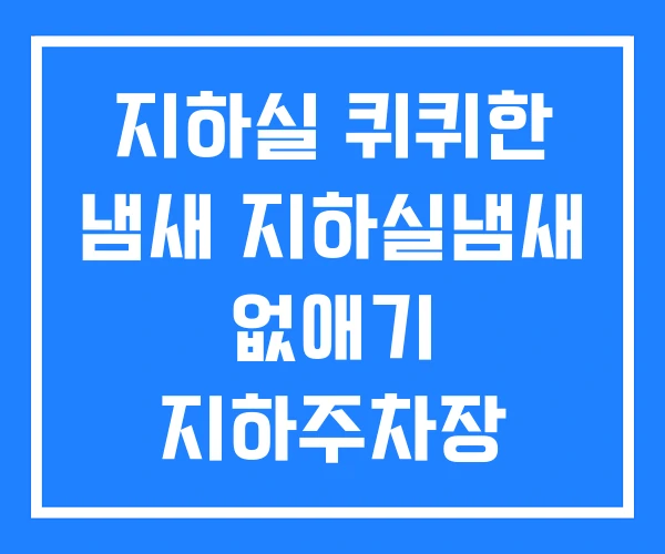 지하실 퀴퀴한 냄새 지하실냄새 없애기 지하주차장 지하실 퀴퀴한 냄새 지하실냄새 없애기 지하주차장