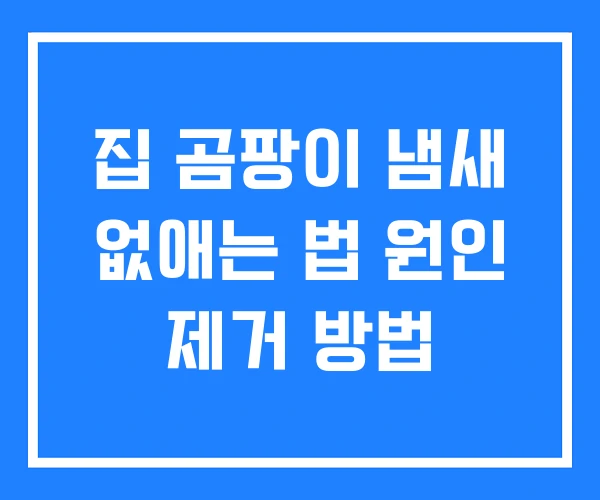 집 곰팡이 냄새 없애는 법 원인 제거 방법