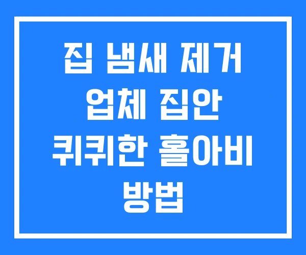 집 냄새 제거 업체 집안 퀴퀴한 홀아비 방법