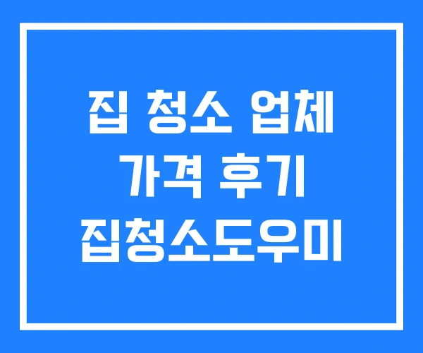 집 청소 업체 가격 후기 집청소도우미