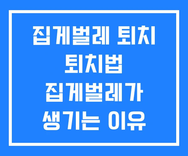집게벌레 퇴치 퇴치법 집게벌레가 생기는 이유 집게벌레 퇴치 퇴치법 집게벌레가 생기는 이유