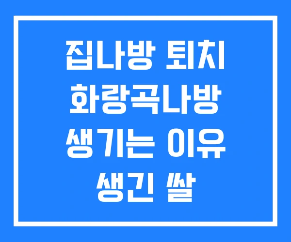 집나방 퇴치 화랑곡나방 생기는 이유 생긴 쌀