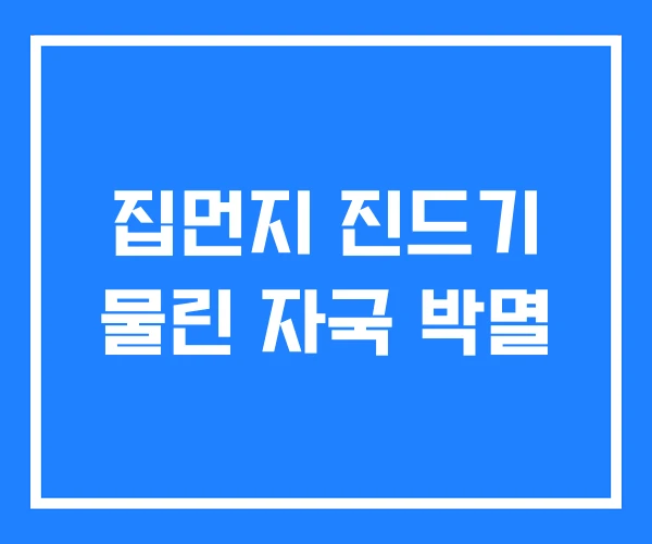 집먼지 진드기 물린 자국 박멸