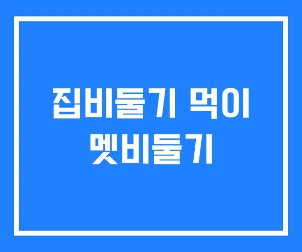 집비둘기 먹이 멧비둘기