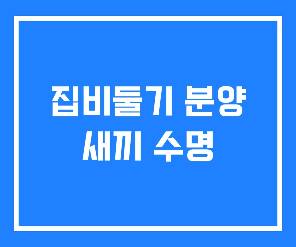 집비둘기 분양 새끼 수명 집비둘기 분양 새끼 수명
