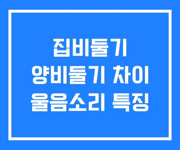 집비둘기 양비둘기 차이 울음소리 특징 집비둘기 양비둘기 차이 울음소리 특징