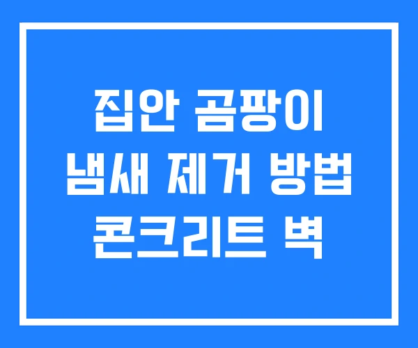 집안 곰팡이 냄새 제거 방법 콘크리트 벽